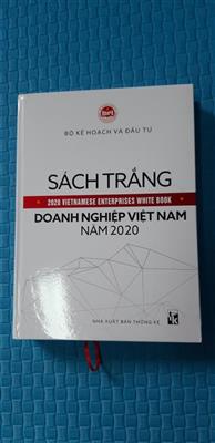 Sách trắng doanh nghiệp Việt Nam năm 2020
