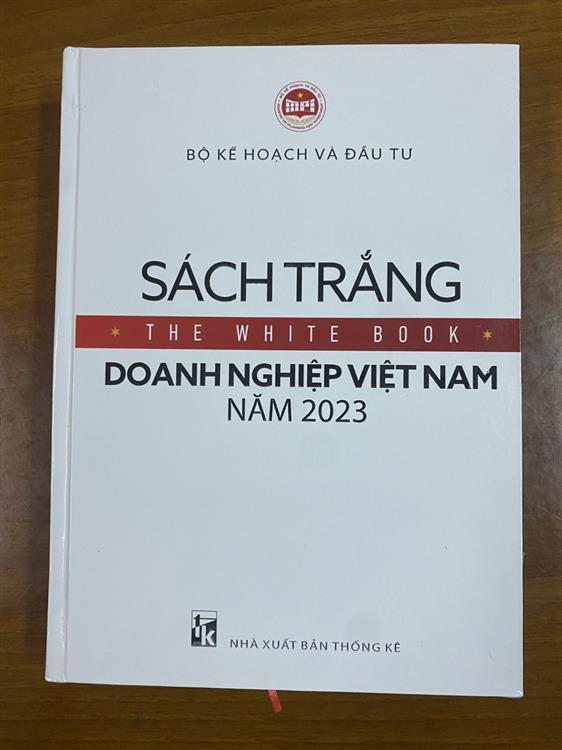 Sách trắng doanh nghiệp Việt Nam năm 2023