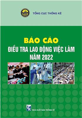 Báo cáo điều tra lao động - việc làm năm 2022